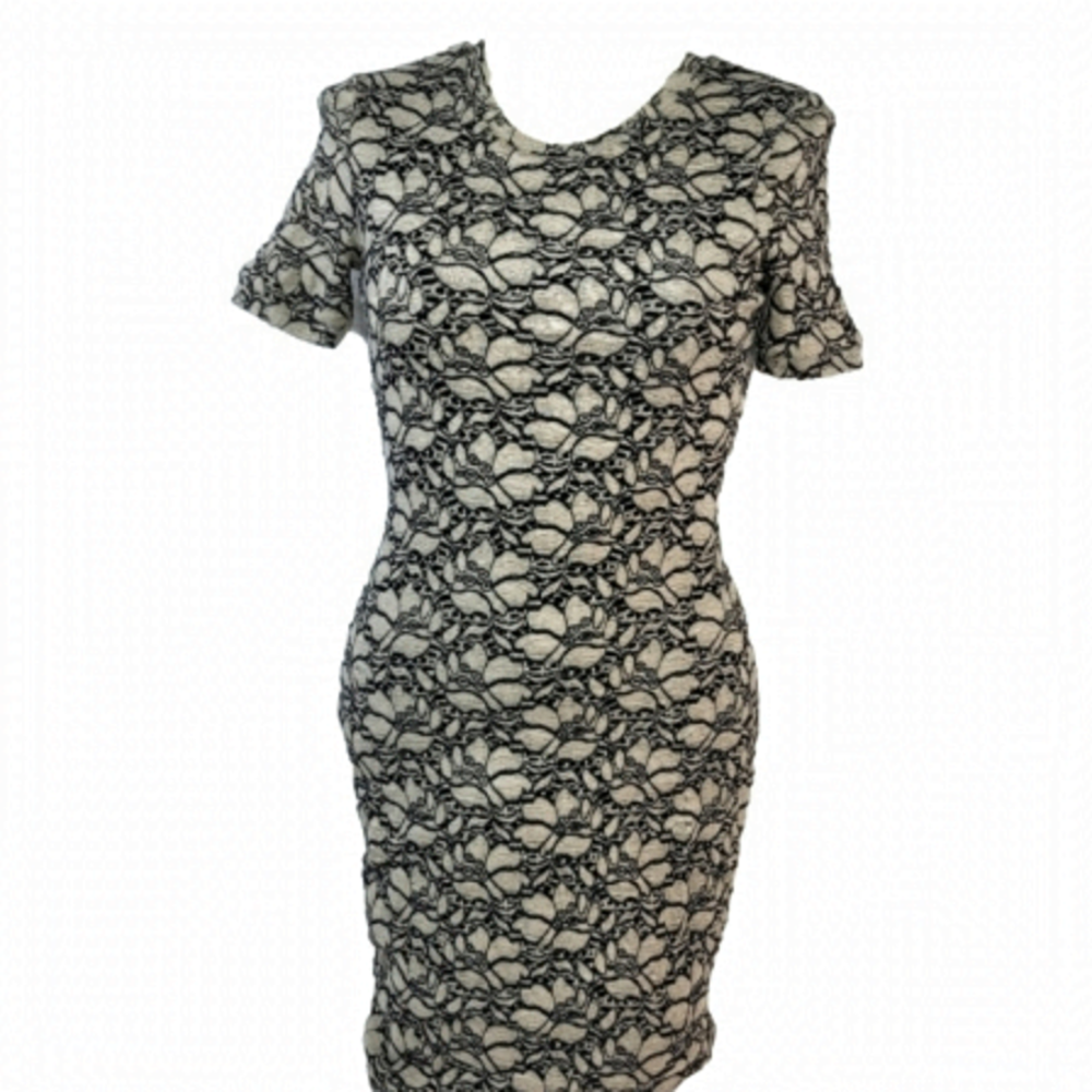 Aritzia Babaton Short Sleeved Lined Dress